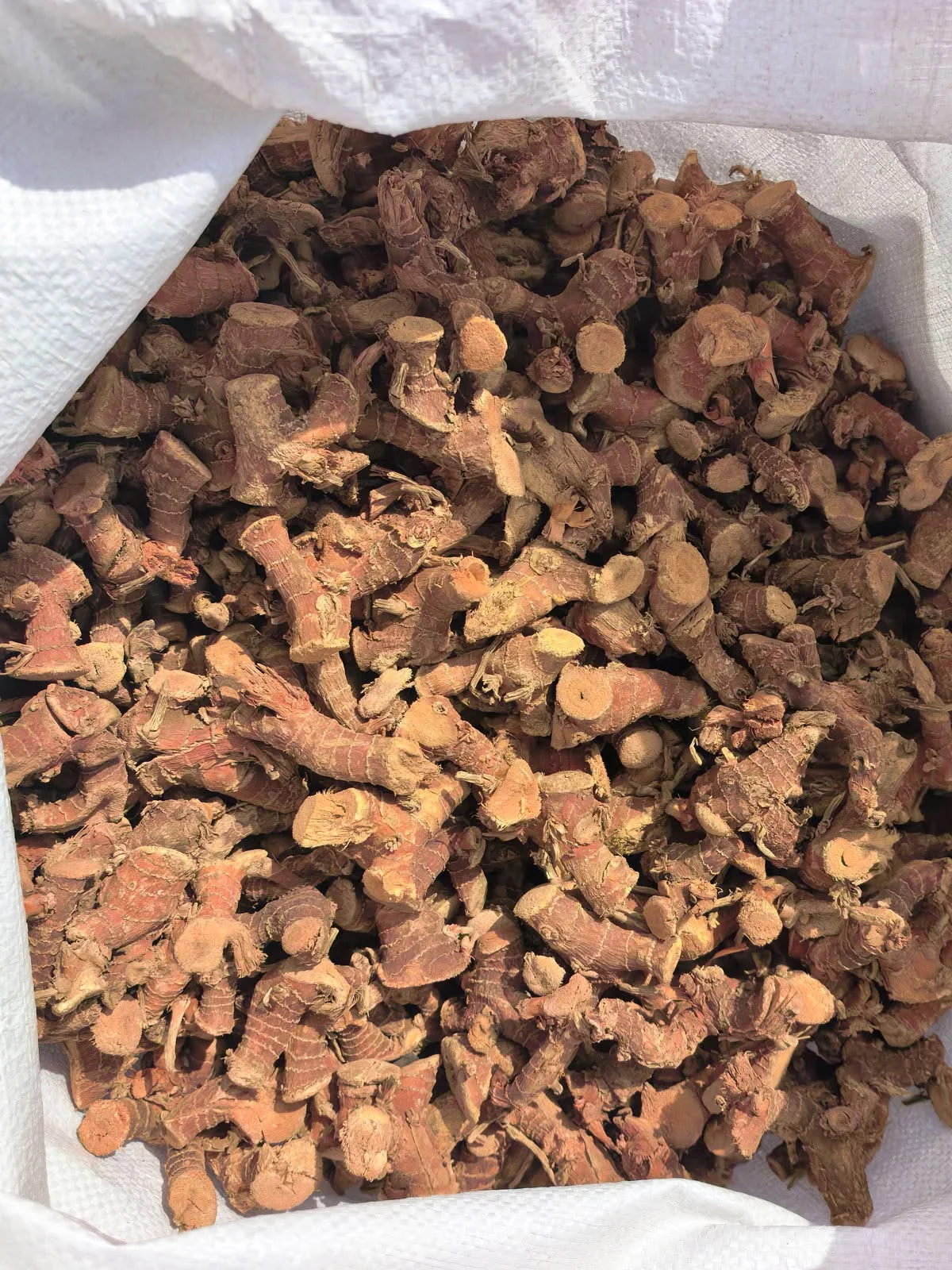 Owner-supplied reference view of dried whole and chunk galangal in a woven sack