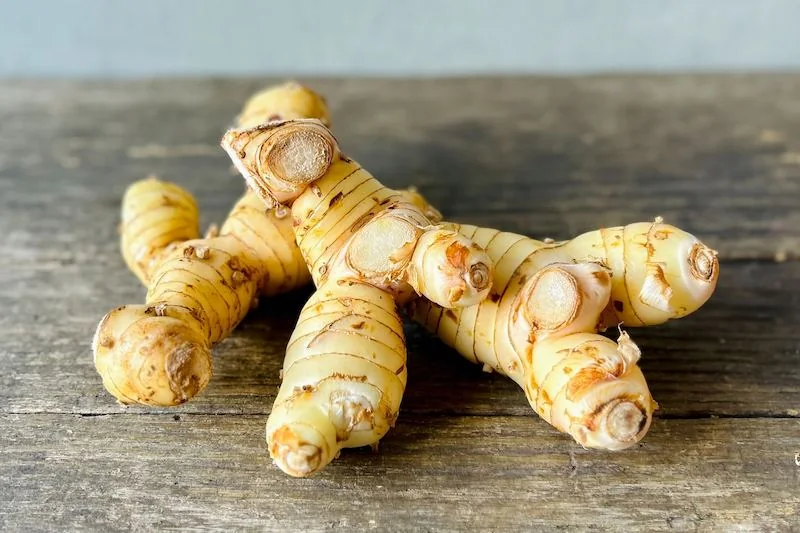 Fresh galangal rhizomes shown as an owner-supplied raw-material reference